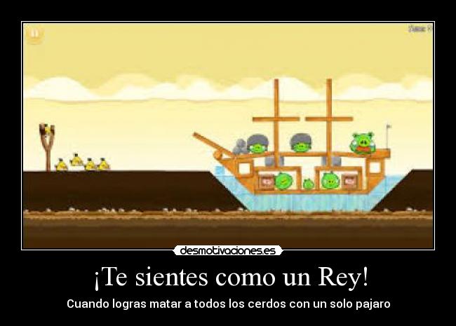 ¡Te sientes como un Rey! - Cuando logras matar a todos los cerdos con un solo pajaro