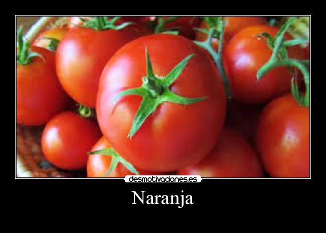 Naranja - 