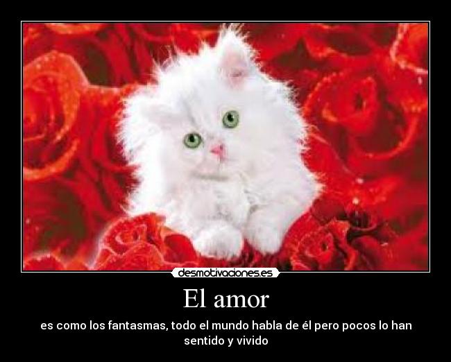 El amor -