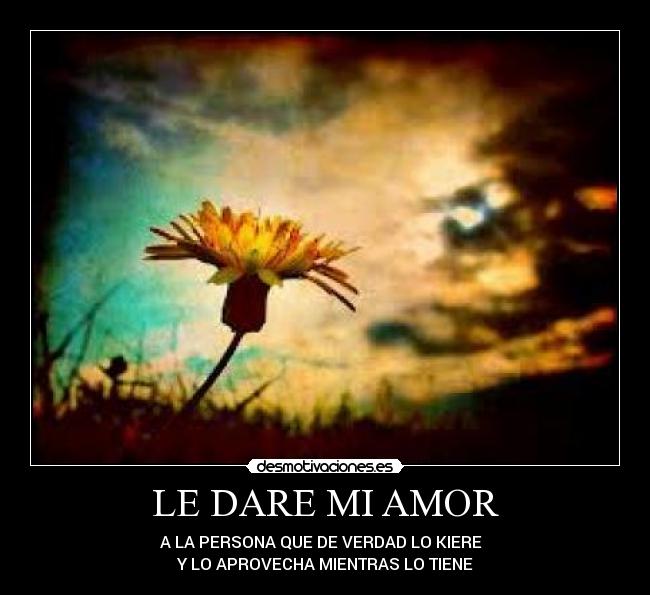 LE DARE MI AMOR - 