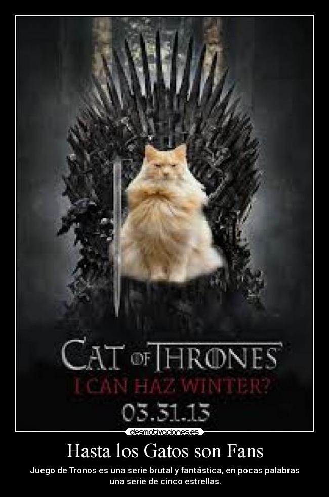 Hasta los Gatos son Fans -