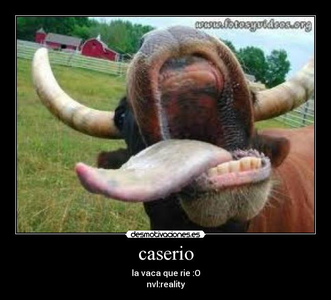 caserio - la vaca que rie :O
nvl:reality