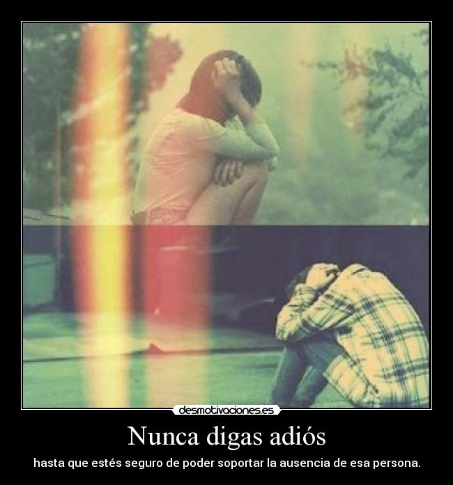Nunca digas adiós - 