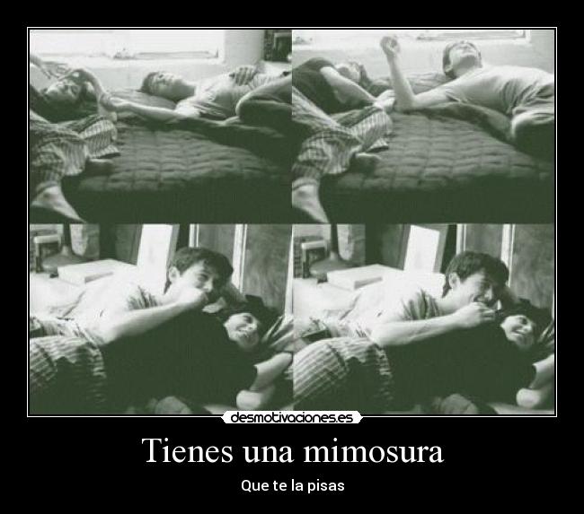 Tienes una mimosura -