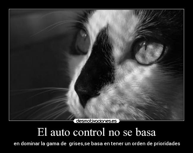 carteles decisiones desmotivaciones