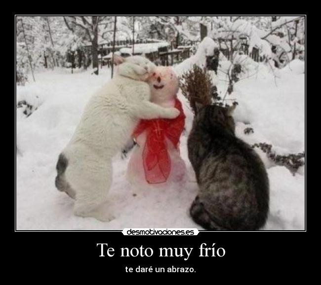 Te noto muy frío - 