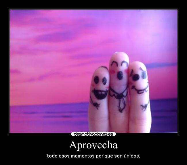 Aprovecha -