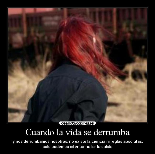 carteles vida lolololo desmotivaciones