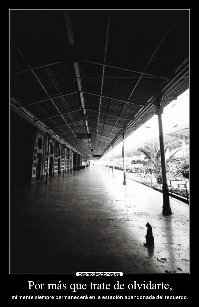 Por más que trate de olvidarte, -