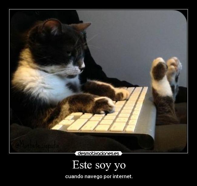 carteles foto real desmotivaciones