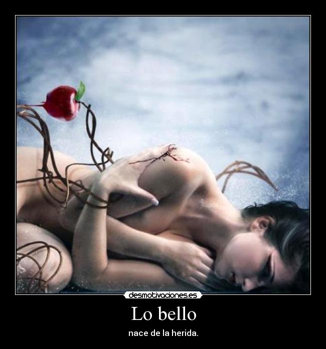 Lo bello - 