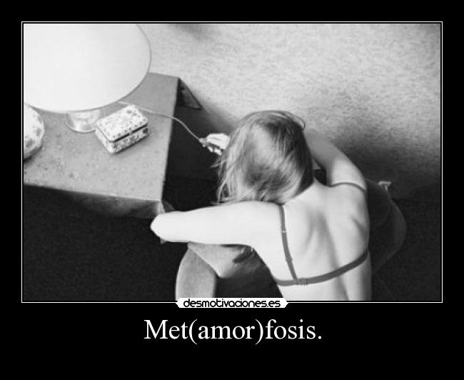 Met(amor)fosis. - 