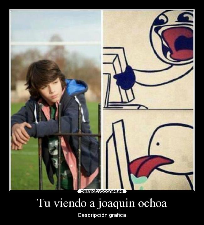 Tu viendo a joaquin ochoa - Descripción grafica