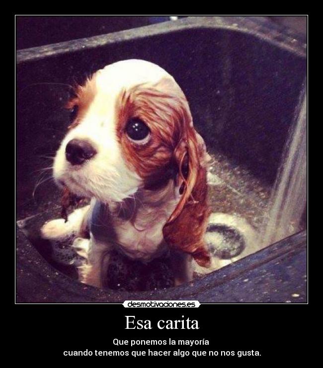 Esa carita - Que ponemos la mayoría
cuando tenemos que hacer algo que no nos gusta.