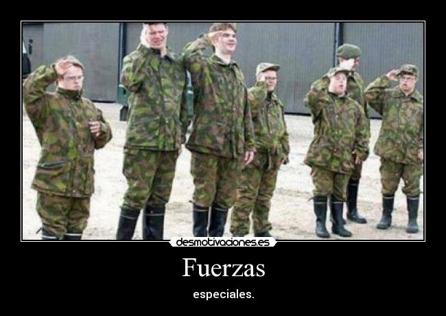 Fuerzas -