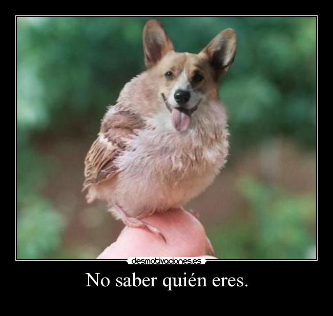 No saber quién eres. - 