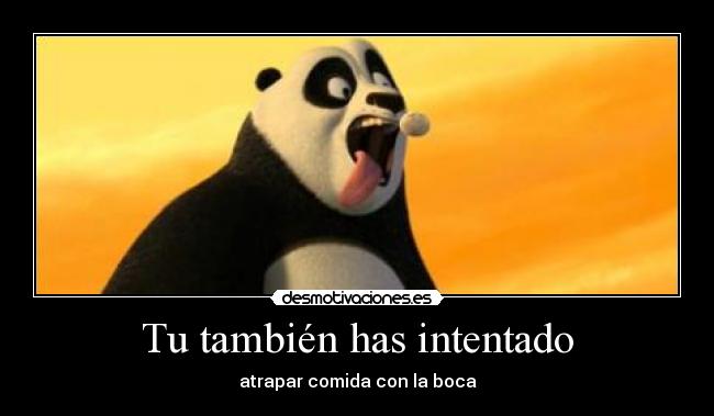 Tu también has intentado -