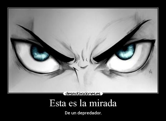 Esta es la mirada - De un depredador.