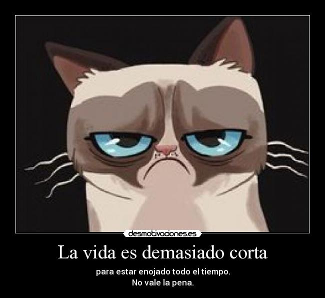 carteles vida lifeistoshort desmotivaciones