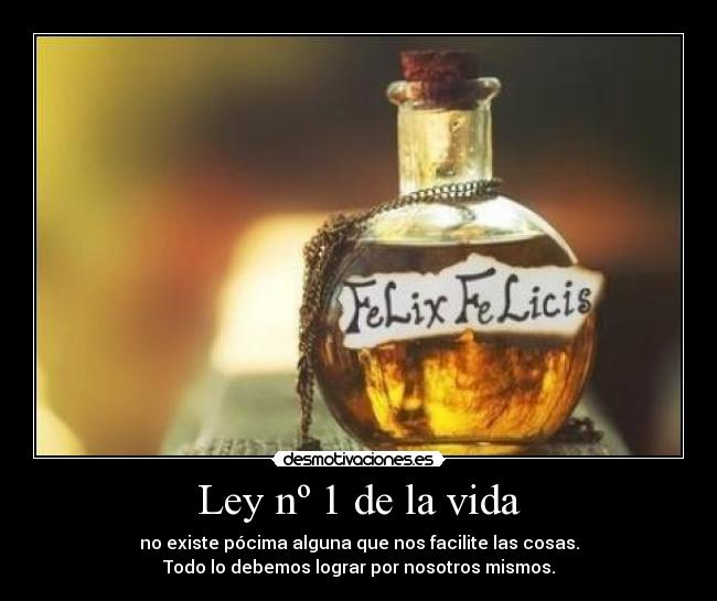 Ley nº 1 de la vida -