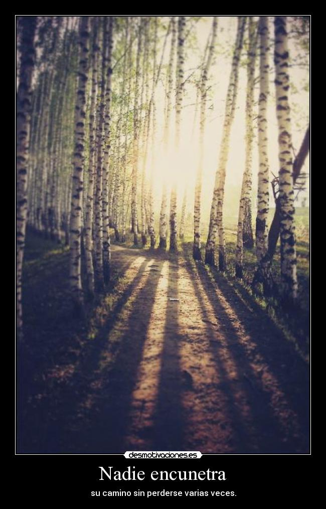 Nadie encunetra - su camino sin perderse varias veces.
