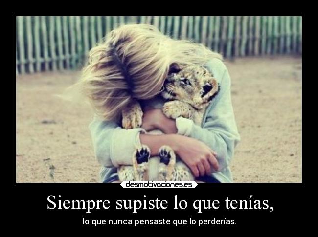 carteles truestorylove desmotivaciones