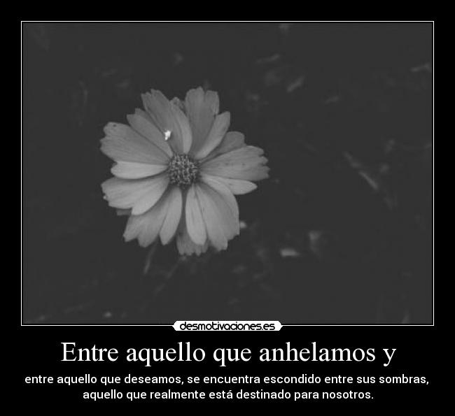 Entre aquello que anhelamos y -