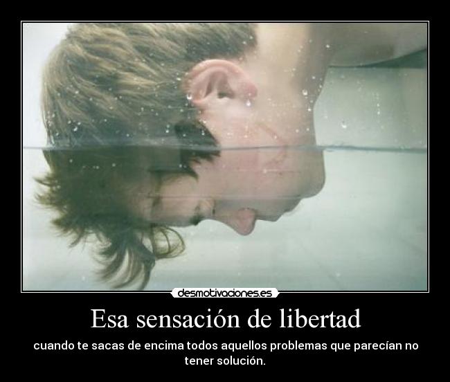 carteles libertad samelove cutewinter laura pashulshulomipirulo cristales enterrados los ojos desmotivaciones