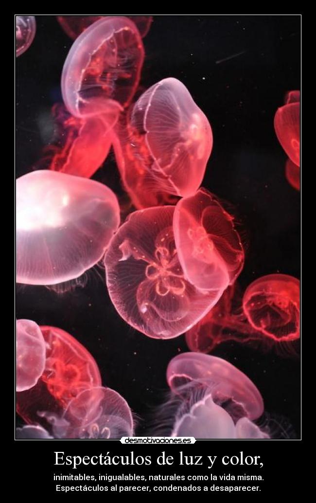 carteles godricvampire666 theinmolrtals unicorniosrosasyazules ecologiaradical desmotivaciones