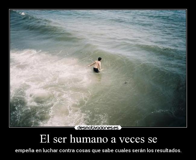 carteles samelove cutewinter laura pashulshulomipirulo cristales enterrados los ojos desmotivaciones