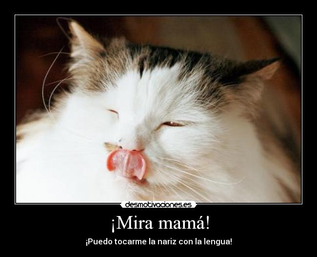 ¡Mira mamá! - ¡Puedo tocarme la nariz con la lengua!