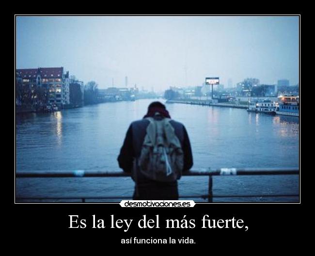 Es la ley del más fuerte, - así funciona la vida.