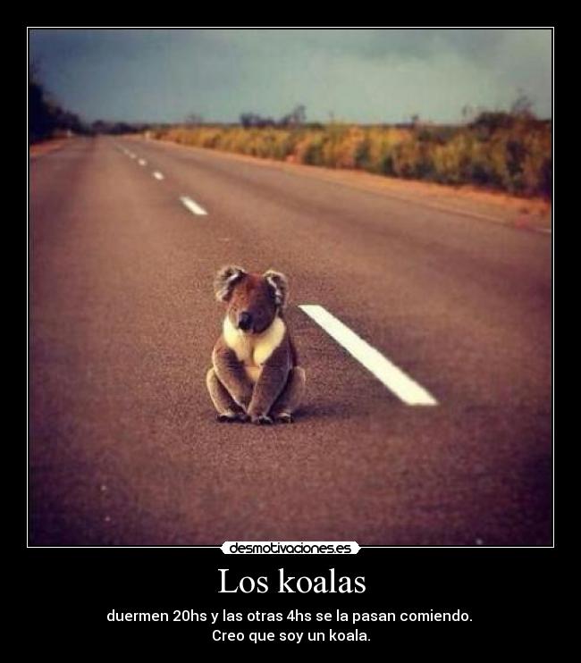 Los koalas - duermen 20hs y las otras 4hs se la pasan comiendo.
Creo que soy un koala.