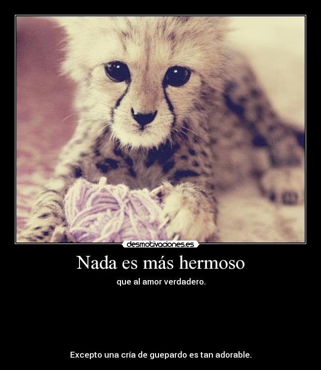 Nada es más hermoso - 