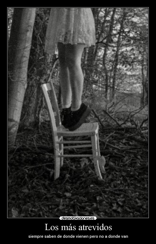 Los más atrevidos - siempre saben de donde vienen pero no a donde van