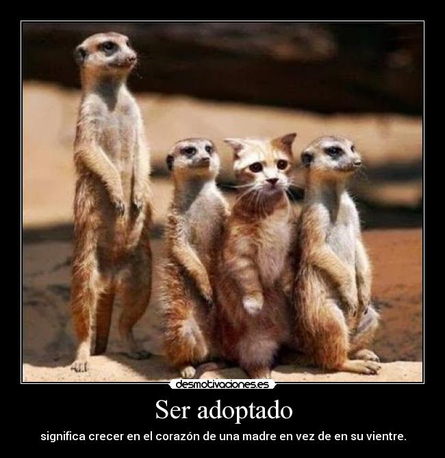 Ser adoptado -