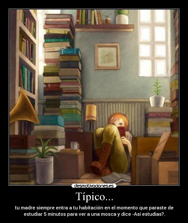 Típico... - tu madre siempre entra a tu habitación en el momento que paraste de
estudiar 5 minutos para ver a una mosca y dice -Así estudias?.