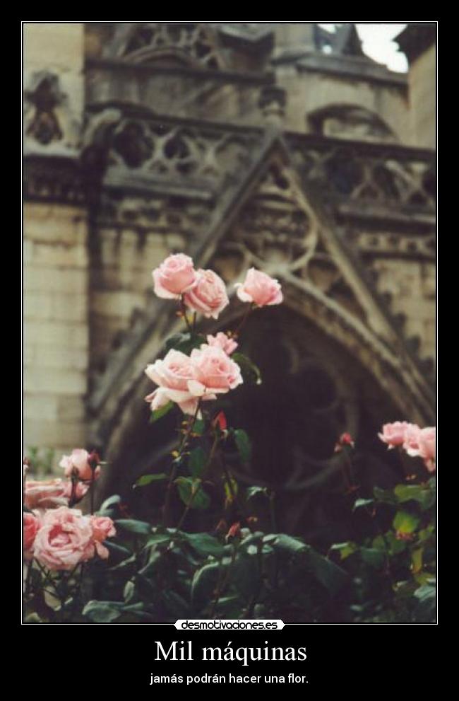 Mil máquinas -