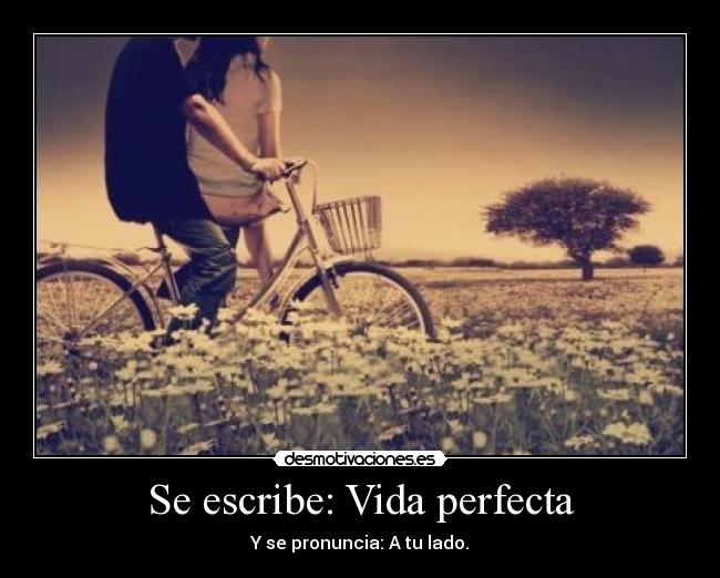 Se escribe: Vida perfecta - Y se pronuncia: A tu lado.