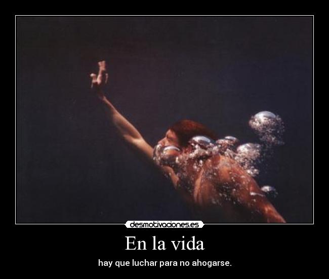 En la vida - 
