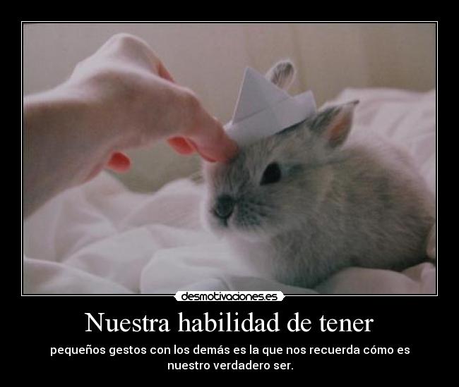 carteles samelove cutewinter laura pashulshulomipirulo cristales enterrados los ojos desmotivaciones