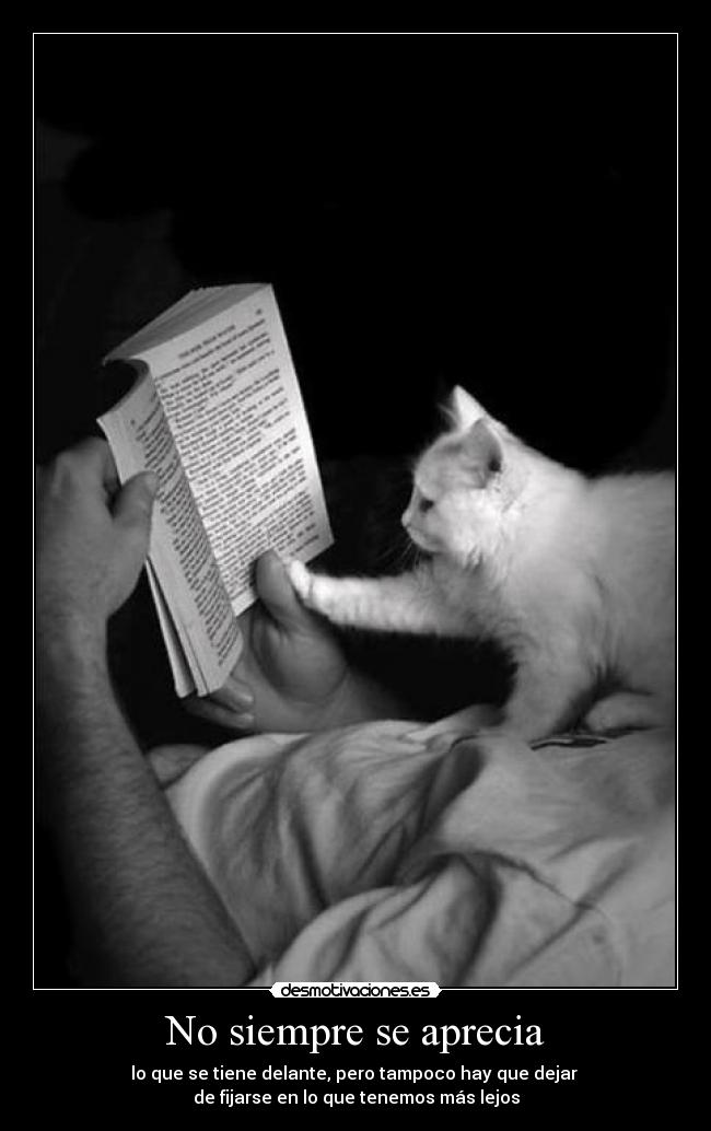 No siempre se aprecia - lo que se tiene delante, pero tampoco hay que dejar
de fijarse en lo que tenemos más lejos