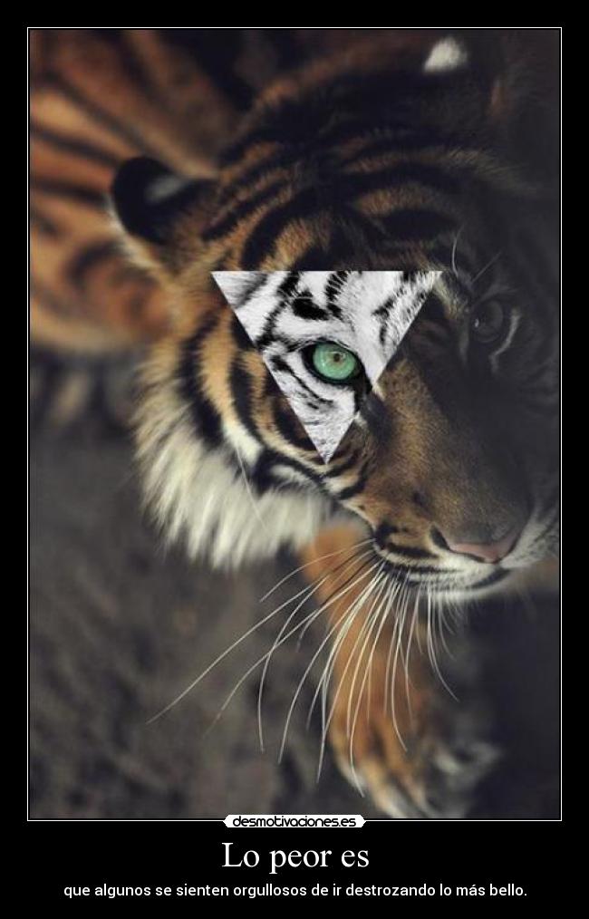 carteles peor desmotivaciones