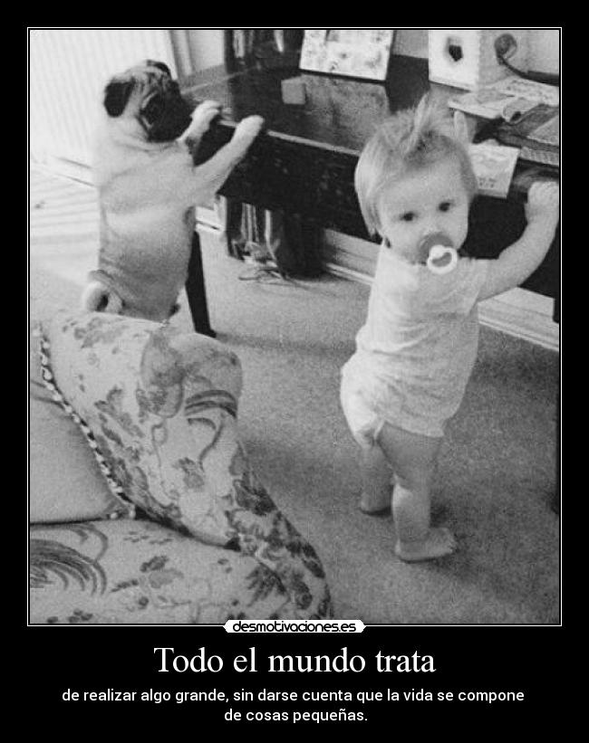 Todo el mundo trata - 