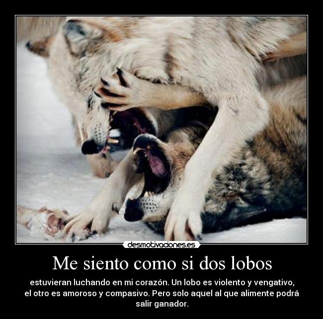 Me siento como si dos lobos - estuvieran luchando en mi corazón. Un lobo es violento y vengativo,
el otro es amoroso y compasivo. Pero solo aquel al que alimente podrá
salir ganador.