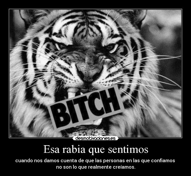 carteles perra una bitch desmotivaciones