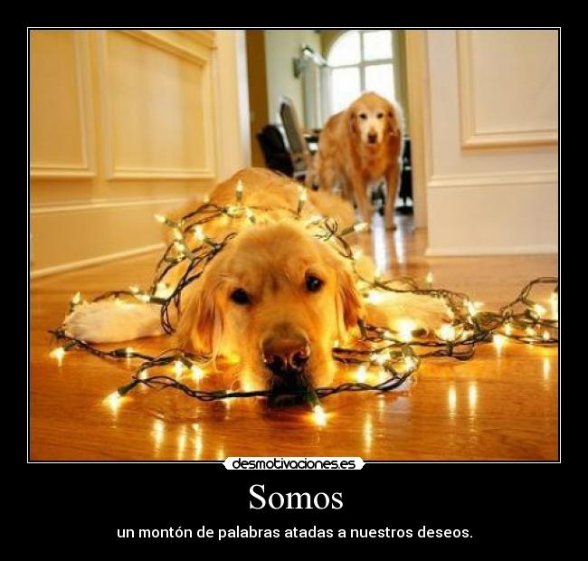 Somos -