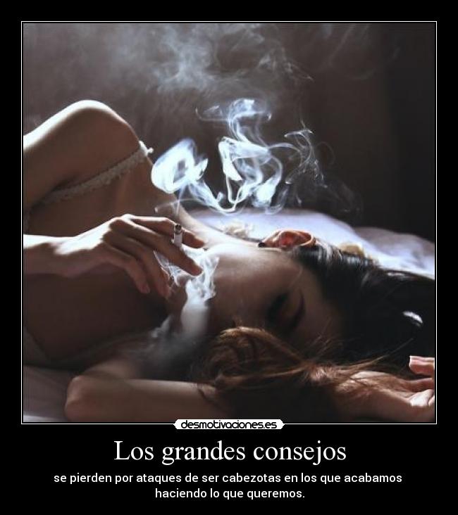 carteles mediometro ayss hiciera caso los disgustos que ahorraria desmotivaciones