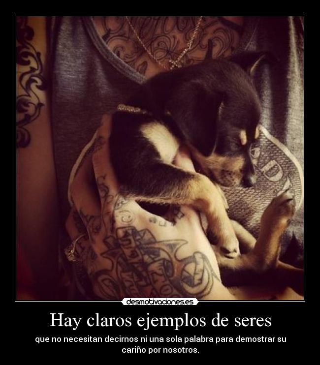 Hay claros ejemplos de seres - que no necesitan decirnos ni una sola palabra para demostrar su
cariño por nosotros.