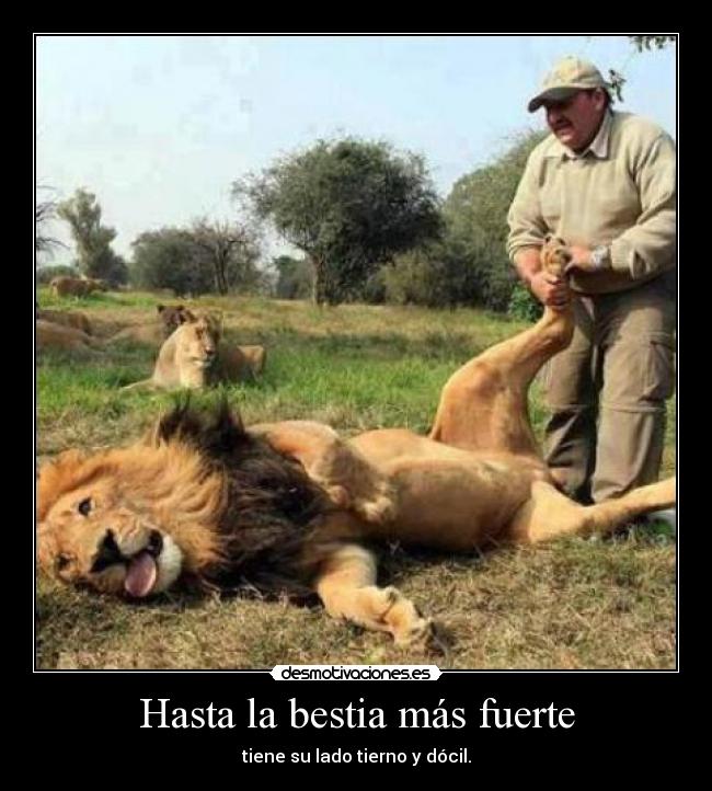 Hasta la bestia más fuerte - tiene su lado tierno y dócil.